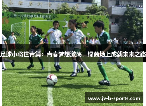足球小将世青篇：青春梦想激荡，绿茵场上成就未来之路