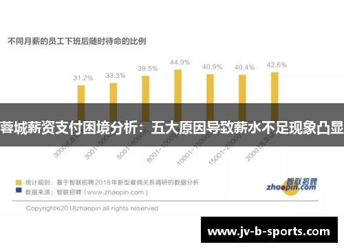 蓉城薪资支付困境分析：五大原因导致薪水不足现象凸显